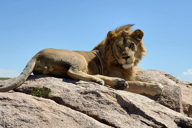 5-Day Private Safari in the Serengeti With Accommodation - Preparing for the Trip