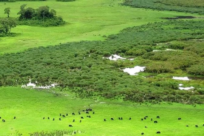 5 Days Luxury Lodge Safari Tour Tanzania - Booking Process and Pricing