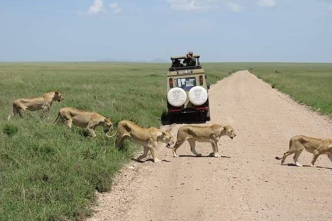5-Days Private Midrange Safari: Serengeti, Ngorongoro & Manyara - Accommodations