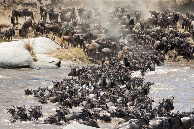 5 Days Tanzania Private Group Safari - Pricing Details