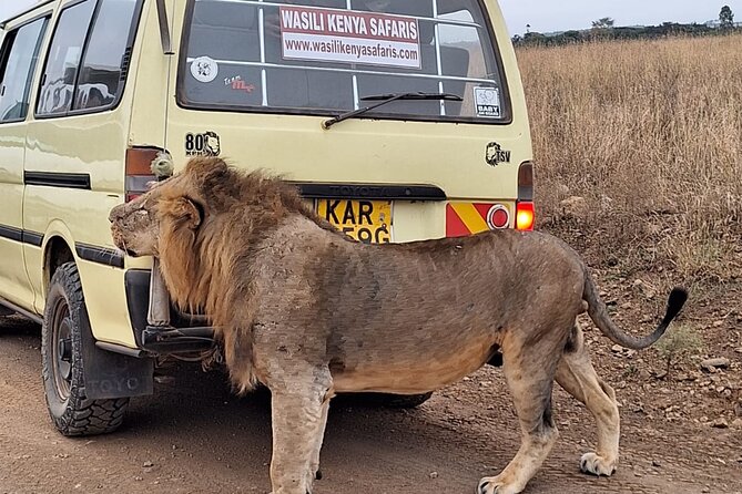 5 Hours Nairobi National Park Private Tour - Unique Experiences
