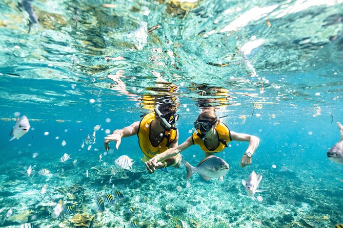 5 in 1 Snorkeling Boat Experience in Cancun - About the Tour Operator