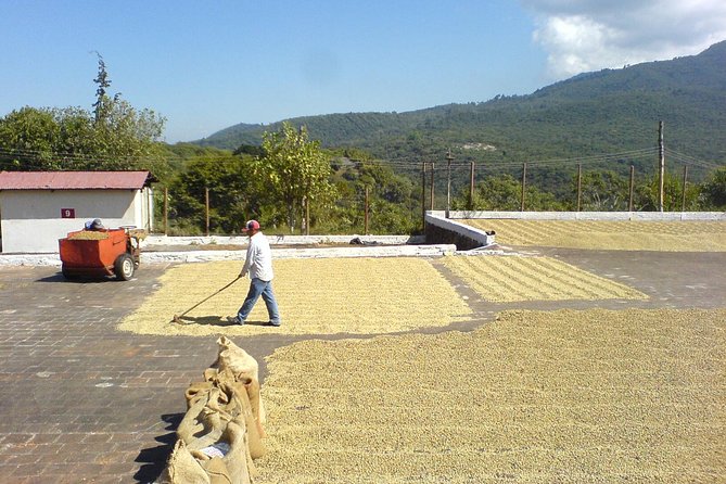 6-Day Best of West El Salvador : Cerro Verde, Coffe Route, Maya Ruins - Practical Information and Logistics
