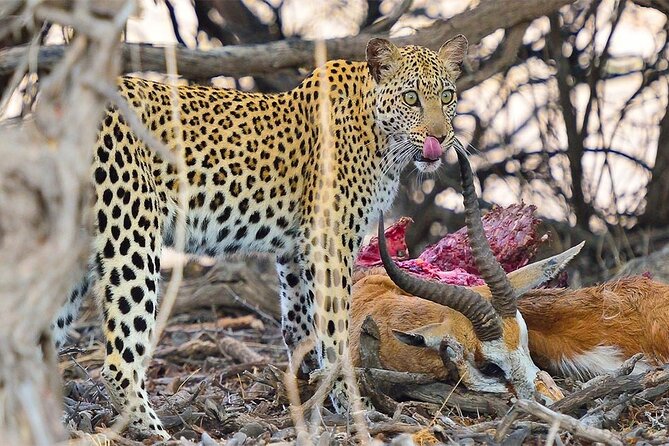 6 Day Group Camping Safari Tarangire Serengeti Ngorongoro Manyara - Getting to the Safari