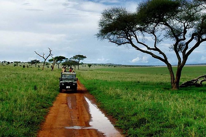 6 Day: Magnificent Wildlife Adventure - Meals and Accommodations
