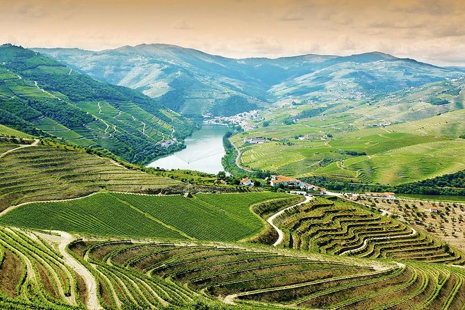 6-Day North Portugal Tour: Porto, Braga, Fátima, Coimbra, Guimaraes, Aveiro and Batalha, From Lisbon - Historical and Cultural Sites