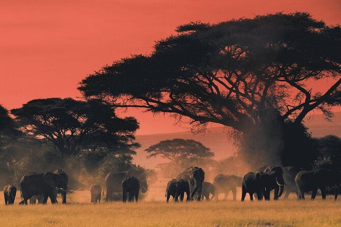 6-Day Unforgettable Tour in Tanzania - Booking and Cancellation