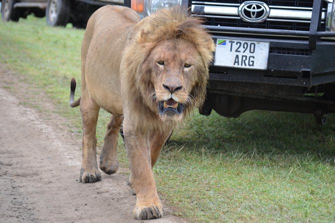 6 Days Best Adventure Kilimanjaro ,Tarangire ,Serengeti &Ngorongoro Crater - Traveler Reviews and Ratings