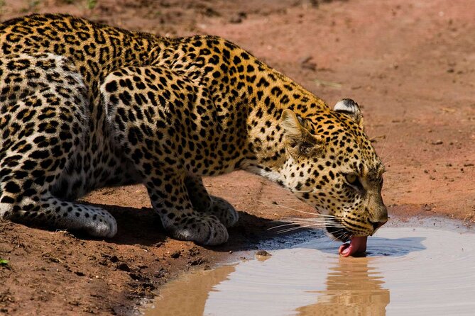 6 Days Lodge & Tented Camp Luxury - The Serengeti Trail & Tarangire - Meeting and Pickup Details