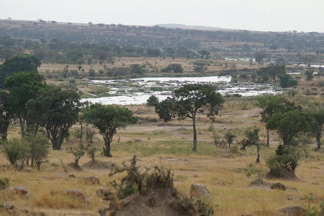6 Days Migration Crossing in Mara River Northern Serengeti - Pricing Details and Inclusions