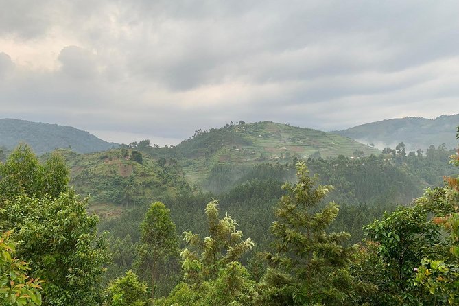 6 Days Rwanda Uganda Budget Wildlife Safari - Booking Information