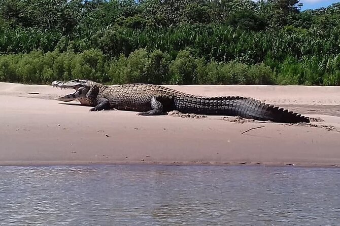 6 Days Tour in Manu National Park / Cusco - Puerto Maldonado - Daily Itinerary