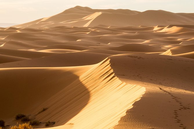 6 Days Trekking to the Heart of Desert - Pricing and Reviews