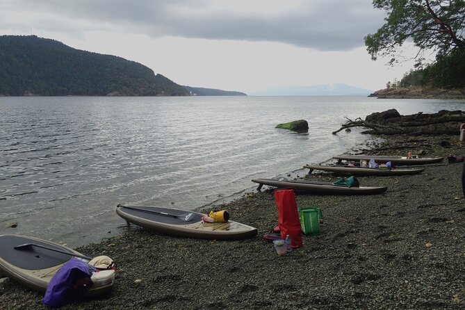 6 Hour SUP Finlayson Arm Fjord - Meeting Point and Start Time