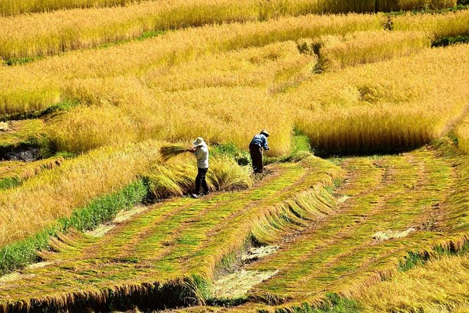 6 Nights Glimpse of Bhutan Tour - Reviews and Ratings
