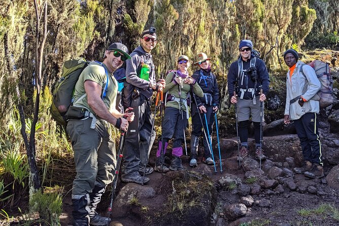 7 Day Kilimanjaro Treks via Machame Route + 2 Nights Hotel Stay - Traveler Feedback and Recommendations