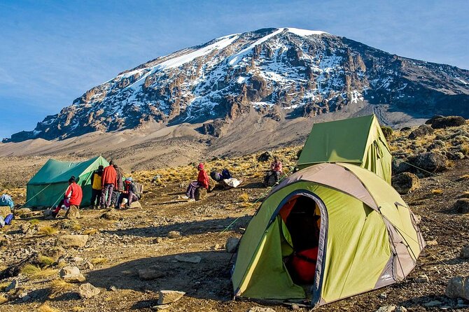 7-Day Mt. Kilimanjaro Hiking: Machame Route - Reviews and Cancellation Policy