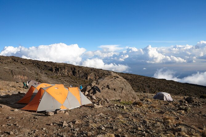 7-Day Private Kilimanjaro Hiking Tour via Machame From Arusha - Physical Requirements