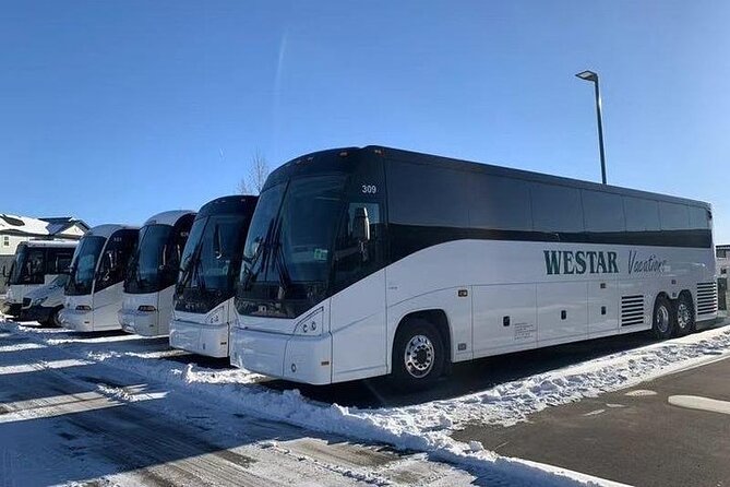 7-Day Rockies Bus Tour Package, Banff, Yoho, Waterton, Drumheller - Guided Tour Highlights