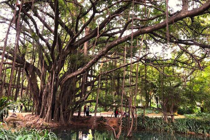 7 Days 6 Nights Private Trip in 5 Cities - Itinerary
