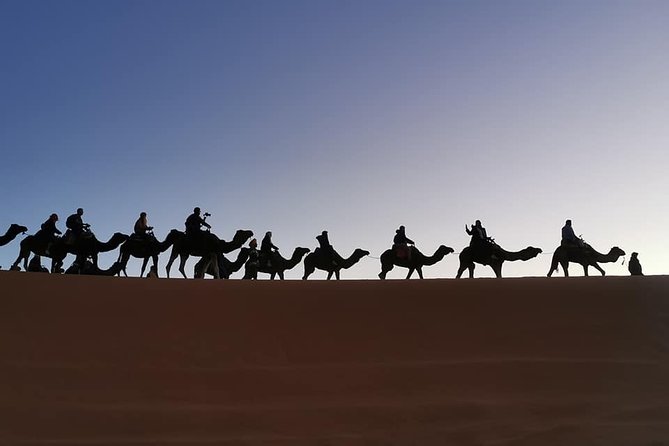 7 Days Discovery The Atlas Mountains & Luxury Sahara Desert From Casablanca - Trekking Through the Sahara Desert
