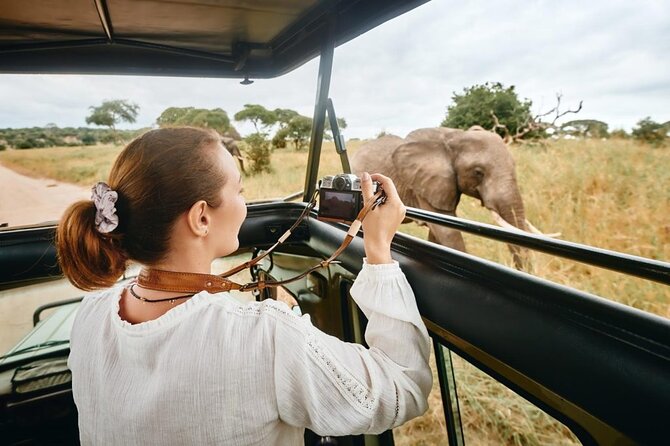 7-Days Private Midrange Safari; Serengeti & Ngorongoro Crater - Accessibility and Participation