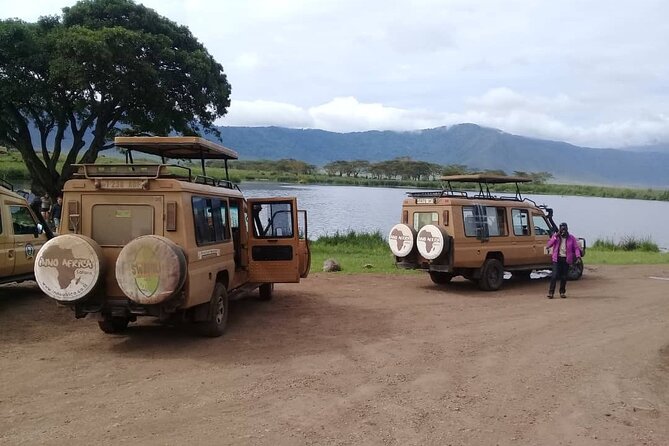7 Days Tanzania Mid-Range Lodge Safari - Pricing Details