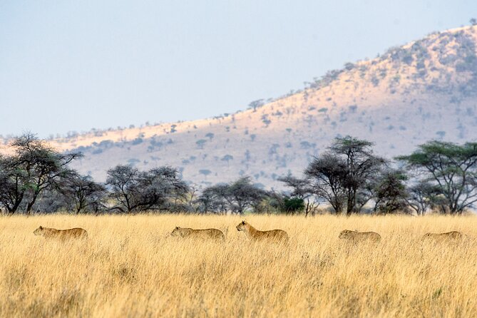 8-Day Essence of Tanzania Safari - Luxury - Health and Safety Measures