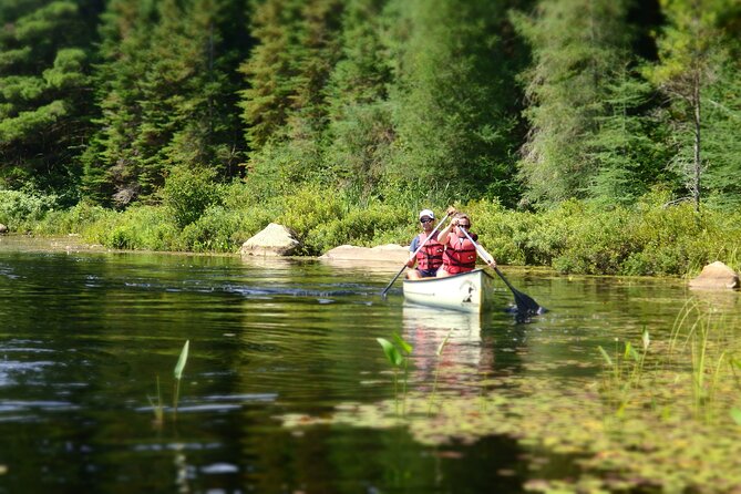 8-Day Ontario Camping Road Trip (The Bucket Lister) - Health and Safety Considerations