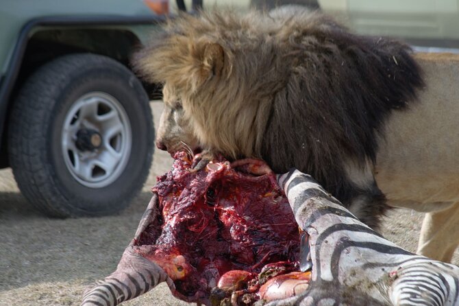 8 Day Private Wildebeest Migration Safari Serengeti Ngorongoro - Booking Process