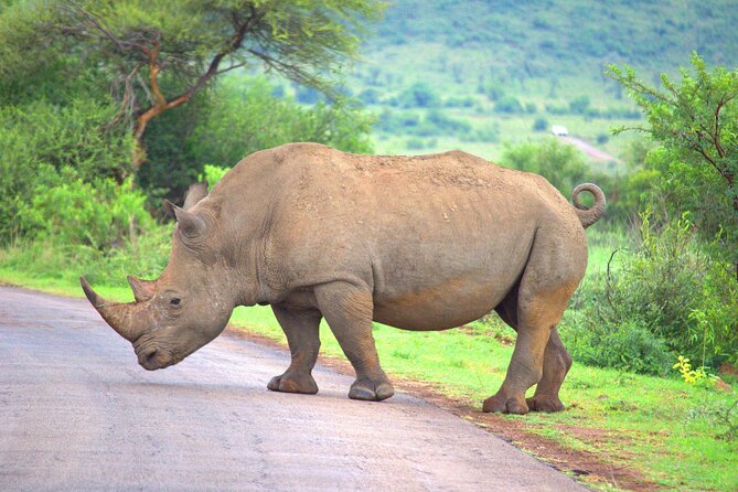 8 Days / 7 Nights 2021 / 2022 Wildebeest Migration Safari - Maasai Mara Reserve - Pricing and Cancellation Policy