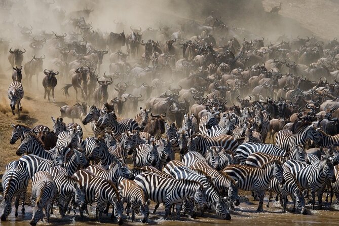 8 Days Follow the Wildebeest Migration River Crossing Safari - Booking Process and Pricing