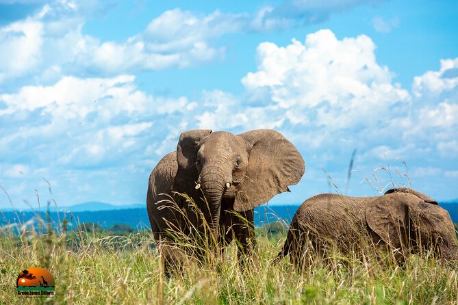 8 Days Gorillas, Primates & Wildlife Safari Uganda Safari - Booking Information