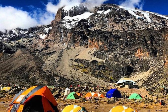 8 Days Lemosho Route Climbing Mt. Kilimanjaro - Scaling the Western Breach