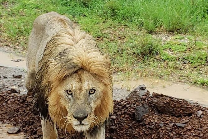 8 Days Tanzania Adventure Tented Camps Safari - Eco-Tourism and Conservation