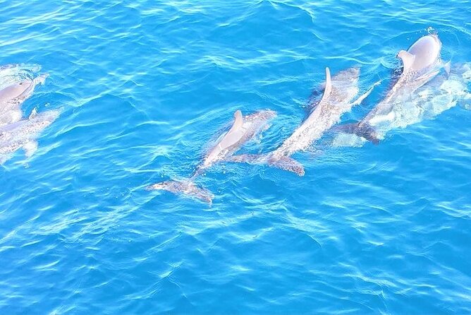 8-Hour Sailing Charter From Fort Lauderdale - Meeting Point and Departure Details
