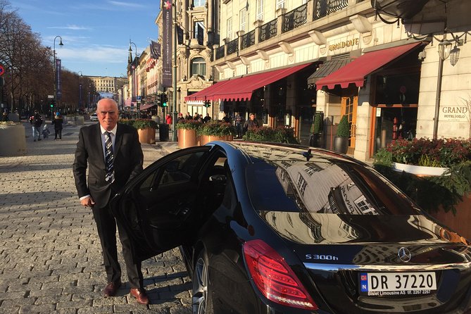 8 Hours Full-Day Exclusive Oslo Tailormade Guided Limo Tour - Best Cruise Shore! - Pricing and Booking Options
