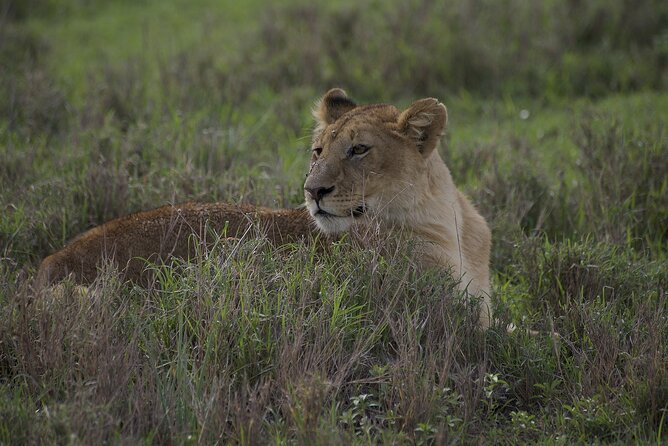 9-Day Enchanting Tanzania Safari -High End All Inclusive - Recommended Packing List