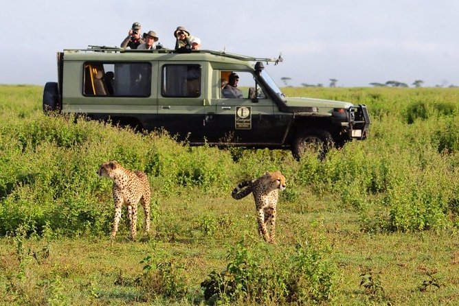 9 Days Kenya Classic Lodge Safari - Meeting and Pickup