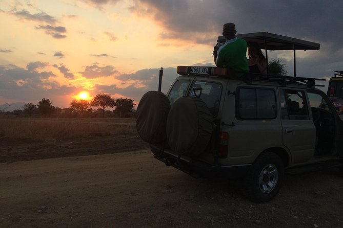 A Day Trip to Mikumi From Morogoro - Exploring Mikumi National Park