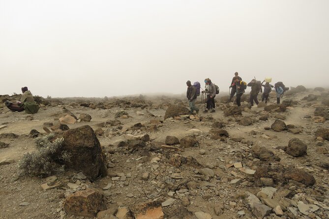 A Definitive Guide For the 7-day Kilimanjaros Lemosho Route - Daily Itinerary and Camp Details