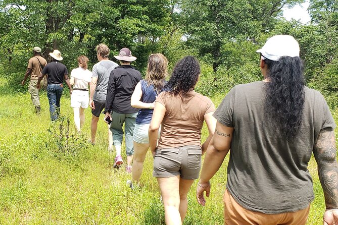 A Game Drive Plus White Rhino Short Walk - Tour Inclusions and Logistics