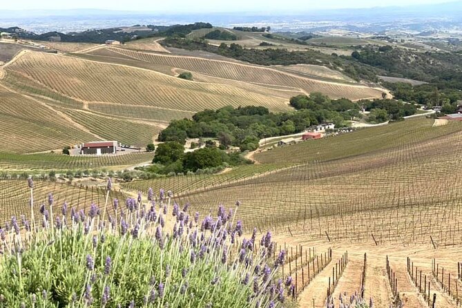 A La La Tour - Private Tour of Californias Central Coast - Explore Californias Central Coast