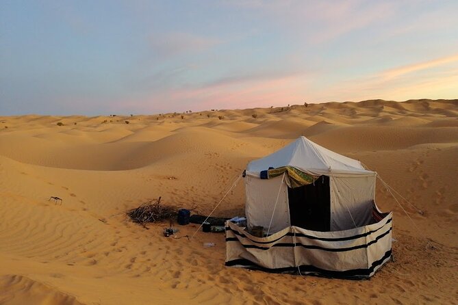 A Private Night at Desert Douz Tozeur - Traveler Reviews and Feedback