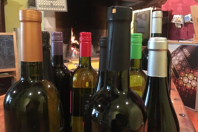 A Sample Of Wine, A Sample Of Istria - A Short But Fulfilled Program - Reviews and Ratings