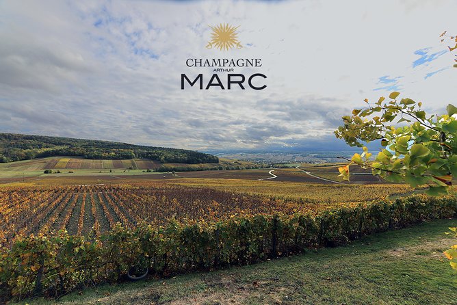 A Unique Sensory Experience in the Vineyards - Personalized Group Experience
