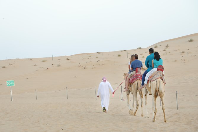 Abu Dhabi City Tour and Desert Safari - Convenient Pickup Information