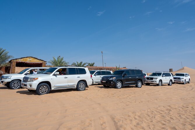 Abu Dhabi Full-Day Desert Safari - Pricing and Rates