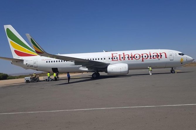 Addis Ababa Private Airport-Hotel Transfer - Communication With the Host