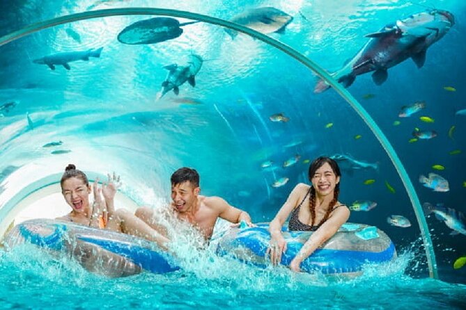 Adventure Cove Waterpark + 1 Way Transfer - Health and Safety